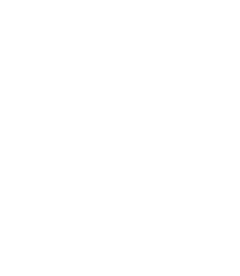 Zen logo animated 1 no loop